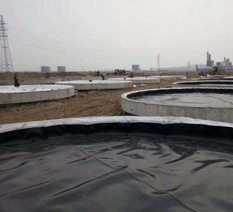 吹糙土工膜究竟有何独特之处，能在行业中如此受关注？ 